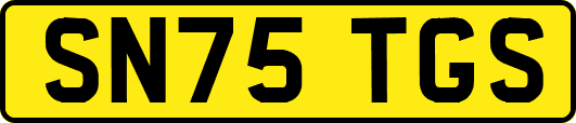 SN75TGS