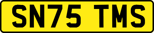 SN75TMS