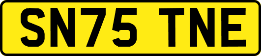 SN75TNE