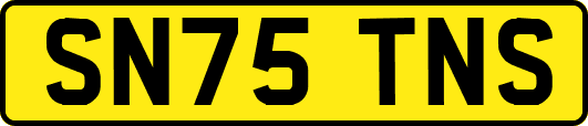 SN75TNS