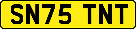 SN75TNT