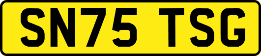 SN75TSG