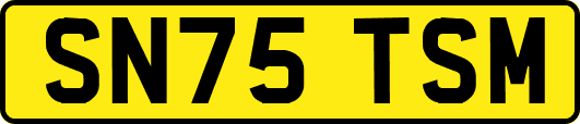SN75TSM