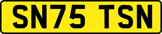 SN75TSN