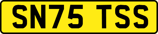 SN75TSS