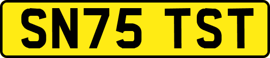SN75TST