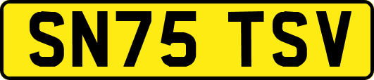 SN75TSV