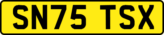 SN75TSX