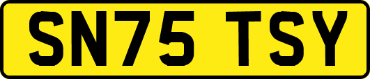 SN75TSY
