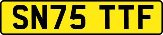 SN75TTF