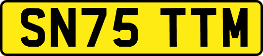 SN75TTM