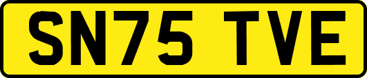 SN75TVE