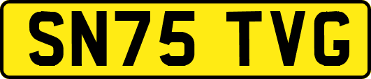 SN75TVG