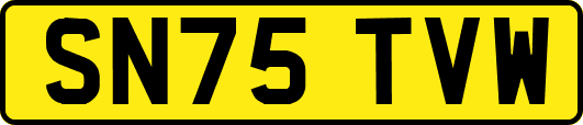 SN75TVW
