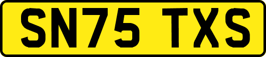 SN75TXS