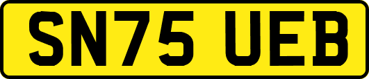 SN75UEB