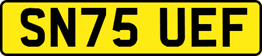 SN75UEF