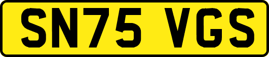 SN75VGS