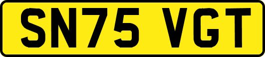 SN75VGT
