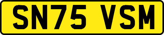 SN75VSM