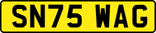 SN75WAG
