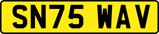 SN75WAV