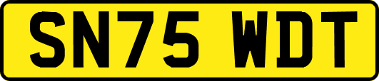 SN75WDT