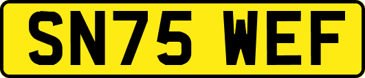 SN75WEF
