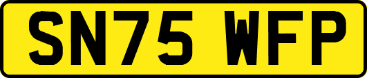 SN75WFP