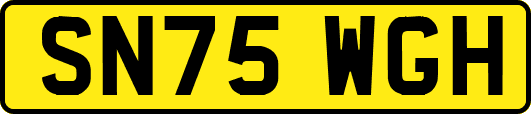 SN75WGH