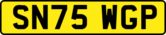 SN75WGP