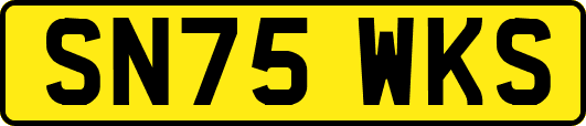 SN75WKS