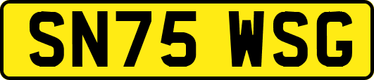 SN75WSG