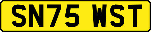 SN75WST
