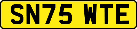 SN75WTE