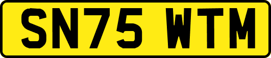 SN75WTM