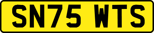 SN75WTS