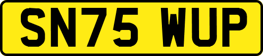 SN75WUP