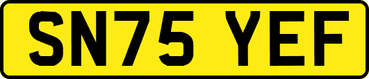 SN75YEF