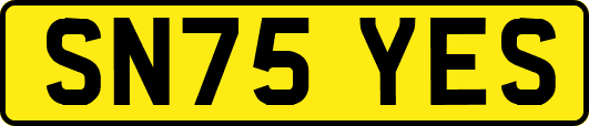 SN75YES