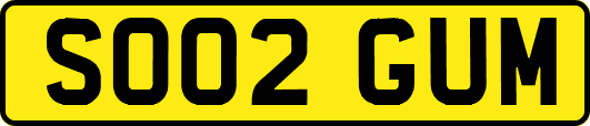 SO02GUM