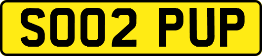 SO02PUP