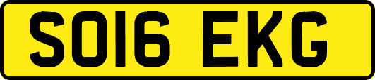 SO16EKG