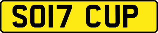 SO17CUP