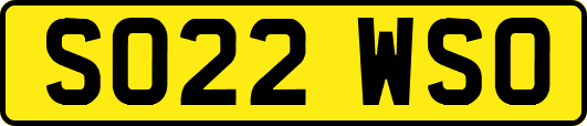 SO22WSO