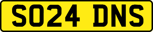 SO24DNS