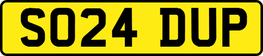SO24DUP