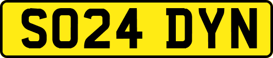SO24DYN