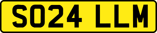 SO24LLM