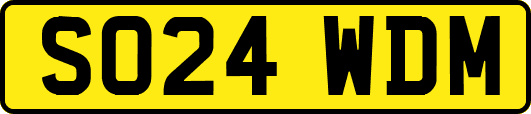 SO24WDM